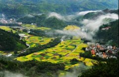 中国动画电影第五代导演眼中的南方艺术乡村