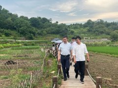省政协委员、浙江传媒学院院长徐小洲一行来永调研乡村文化建设